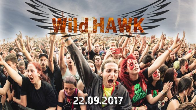 Wild Hawk